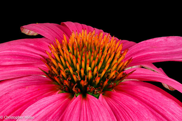 Non-profit organization photography
